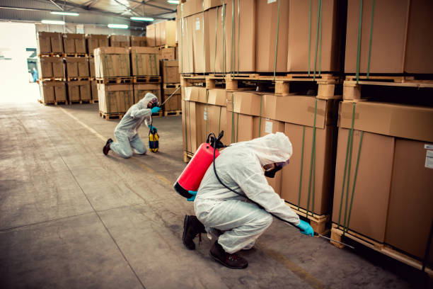 Best Bed Bug Extermination  in Kenwood Estates, FL
