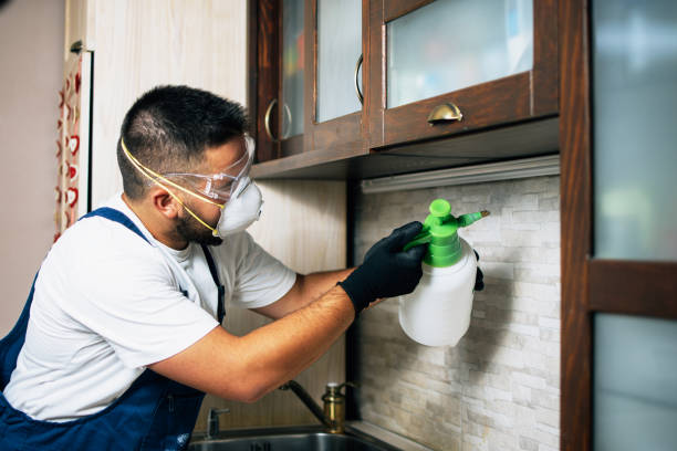 Best Exterminator Services  in Kenwood Estates, FL
