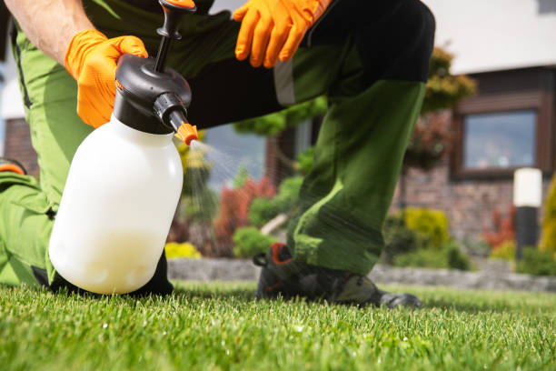 Best Pest Inspection Near Me  in Kenwood Estates, FL