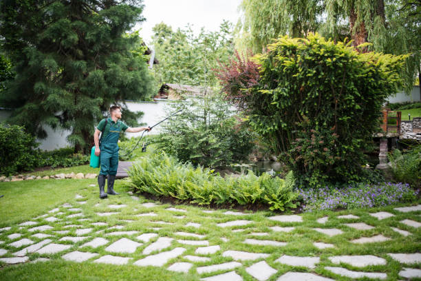 Best Local Pest Control Services  in Kenwood Estates, FL