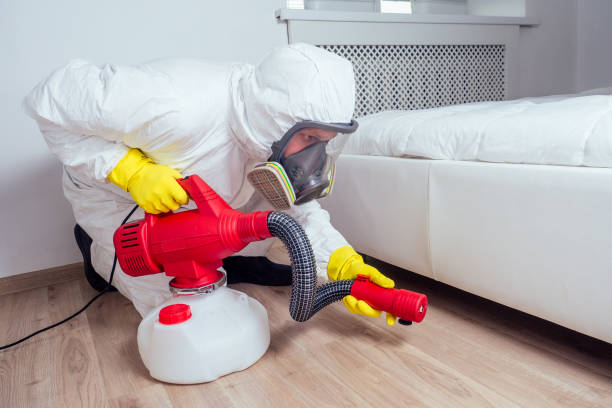 Best Affordable Pest Control Services  in Kenwood Estates, FL