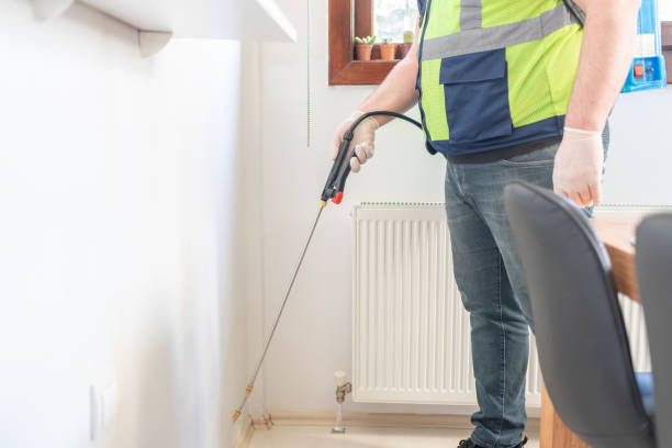 Flea Control Services in Kenwood Estates, FL