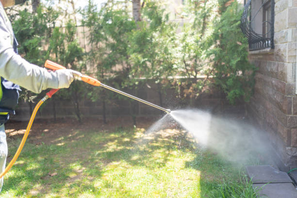 Best Wasp Removal Services  in Kenwood Estates, FL