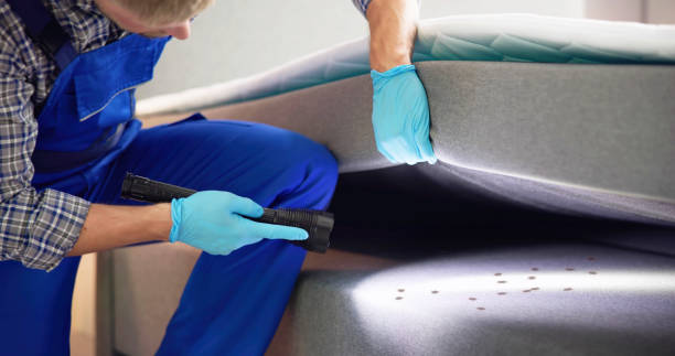 Flea Control Services in Kenwood Estates, FL