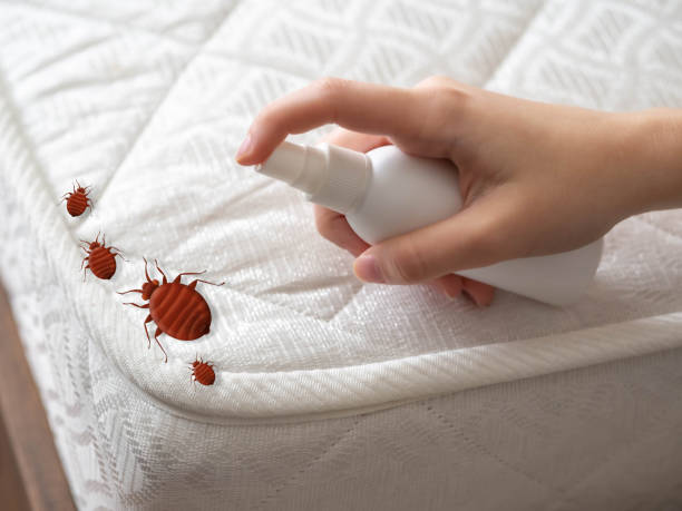 Best Cockroach Control Services  in Kenwood Estates, FL
