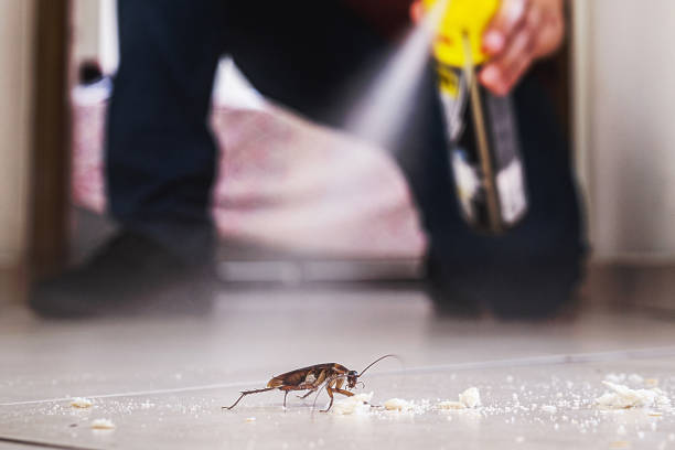 Best Pest Control Treatment  in Kenwood Estates, FL