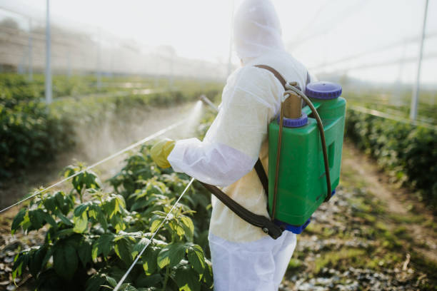 Best Wildlife Control Services  in Kenwood Estates, FL